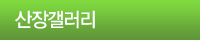 尶
